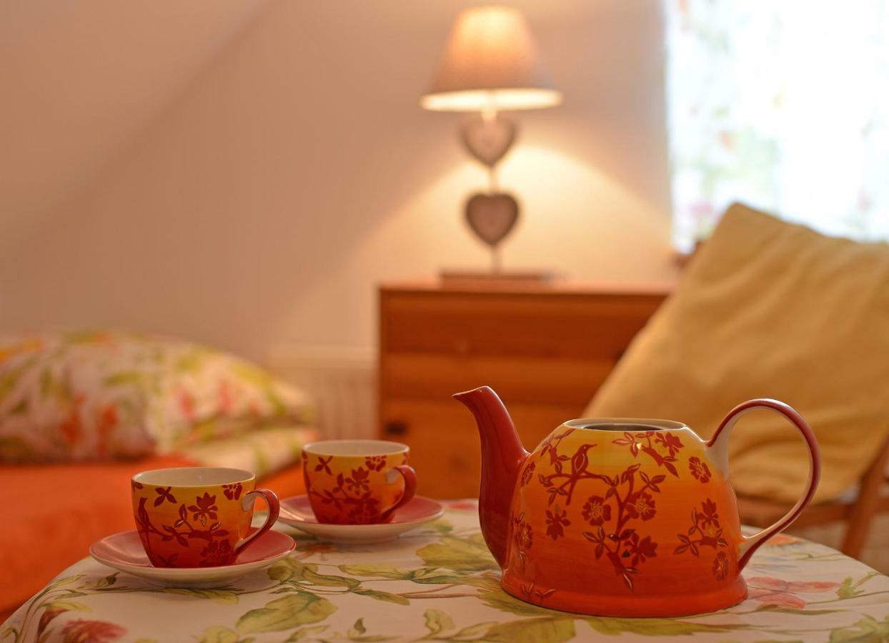 Biotanika Villa Michalkowa Ngoại thất bức ảnh